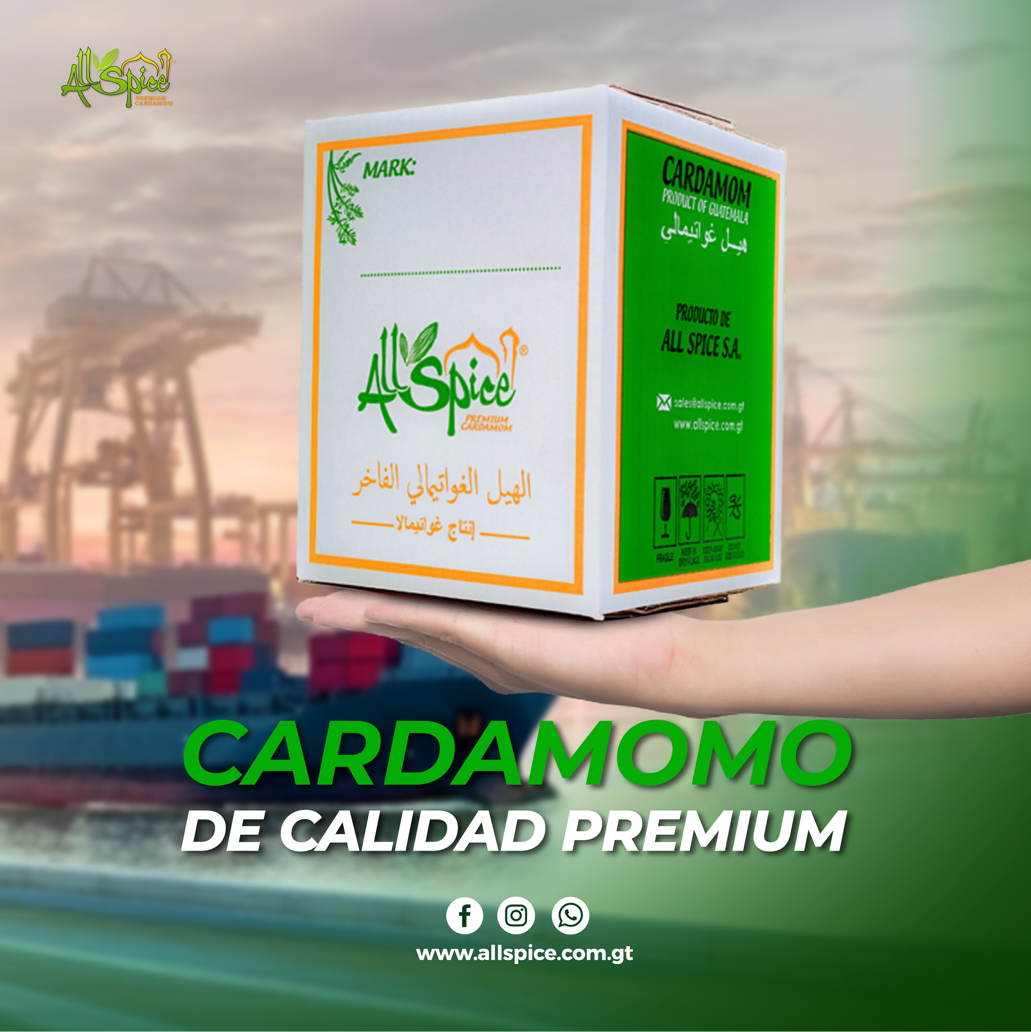 All - Cardamomo de Calidad Premium Lleva tus productos al siguiente ...