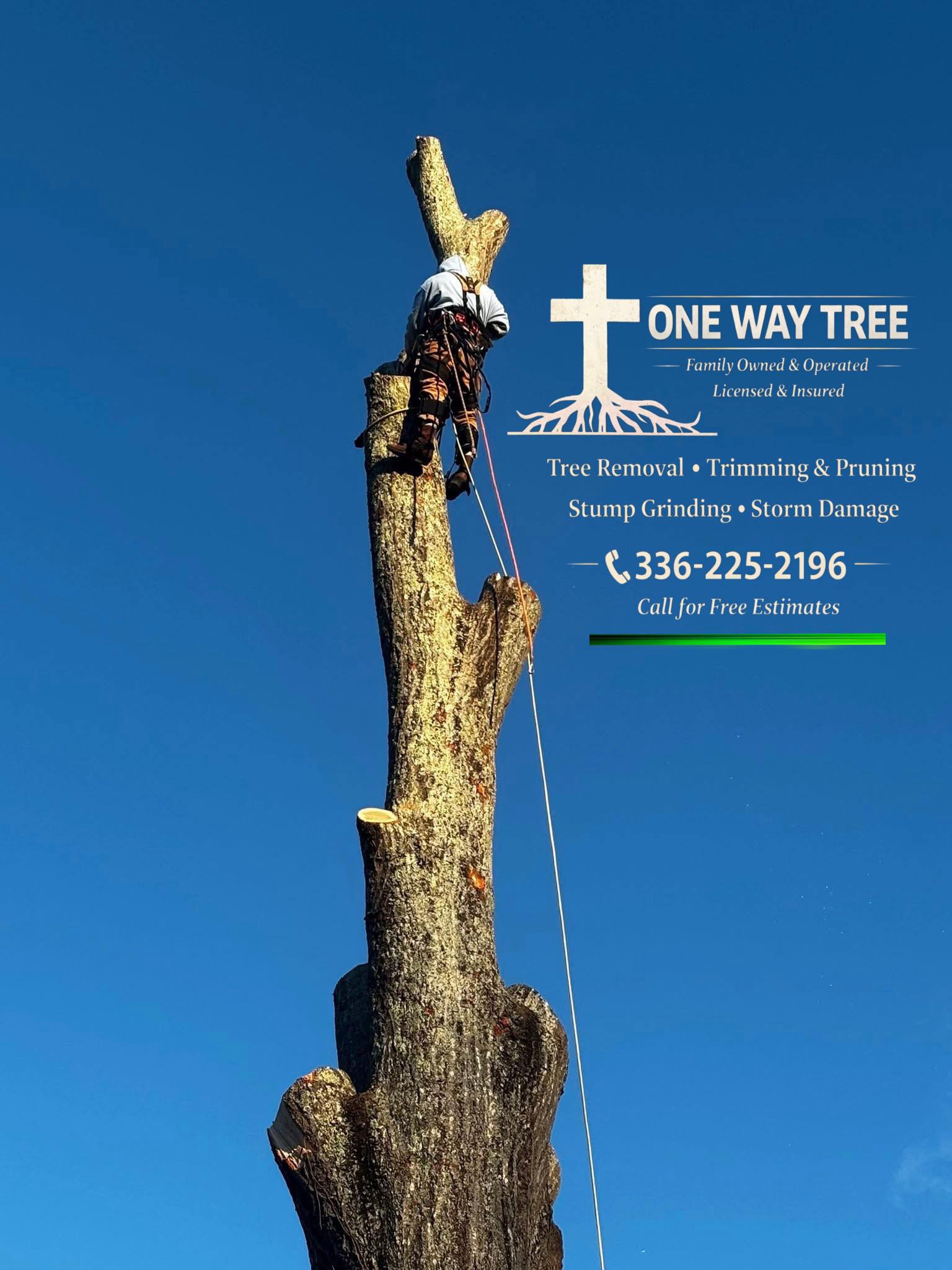 One Way Tree