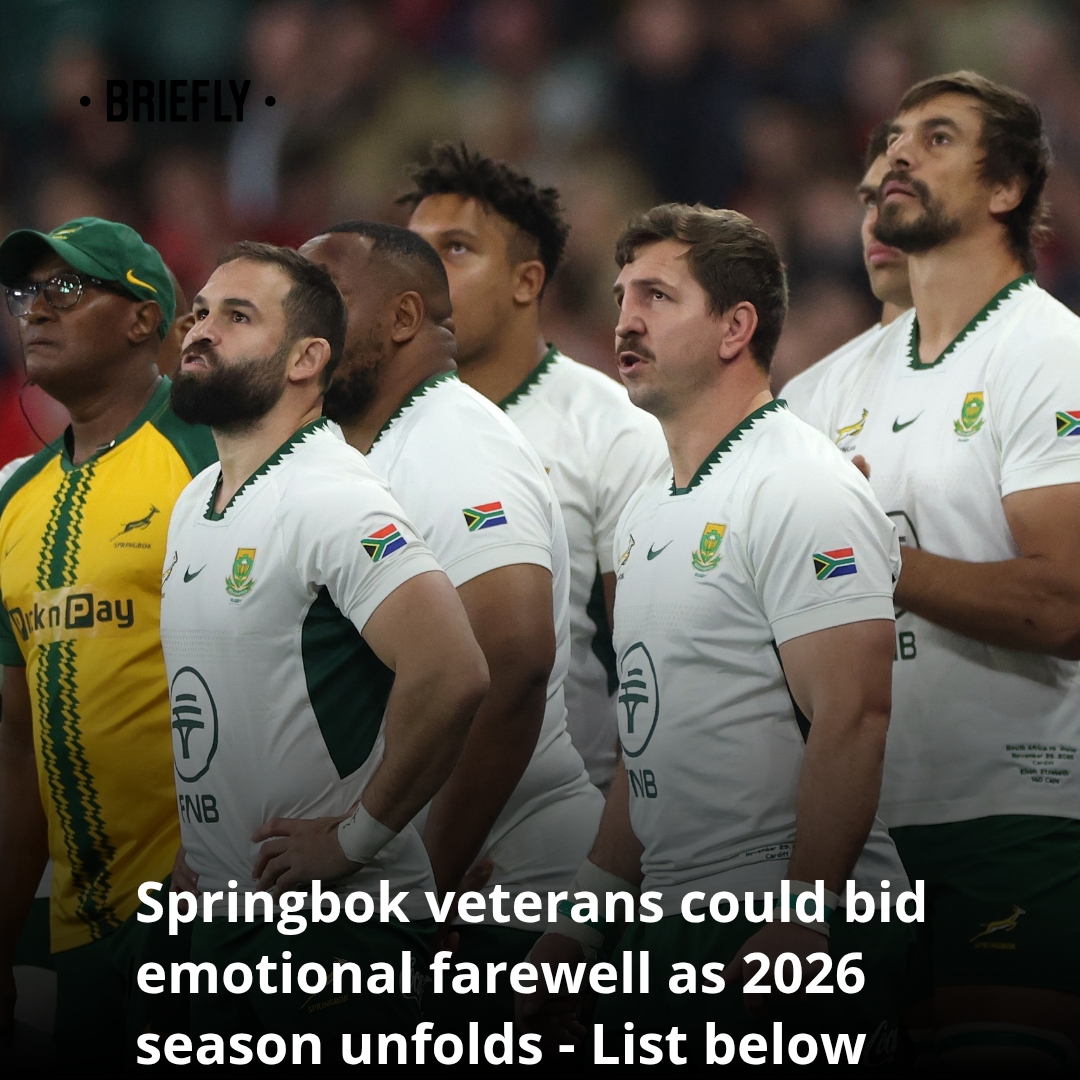 The Springboks are... - Briefly - South African News | Facebook