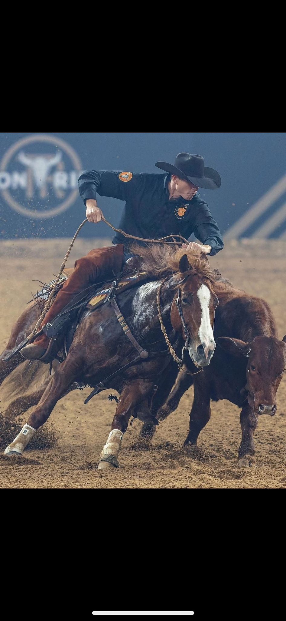 Reverse G Bar Ranch | Stavely AB