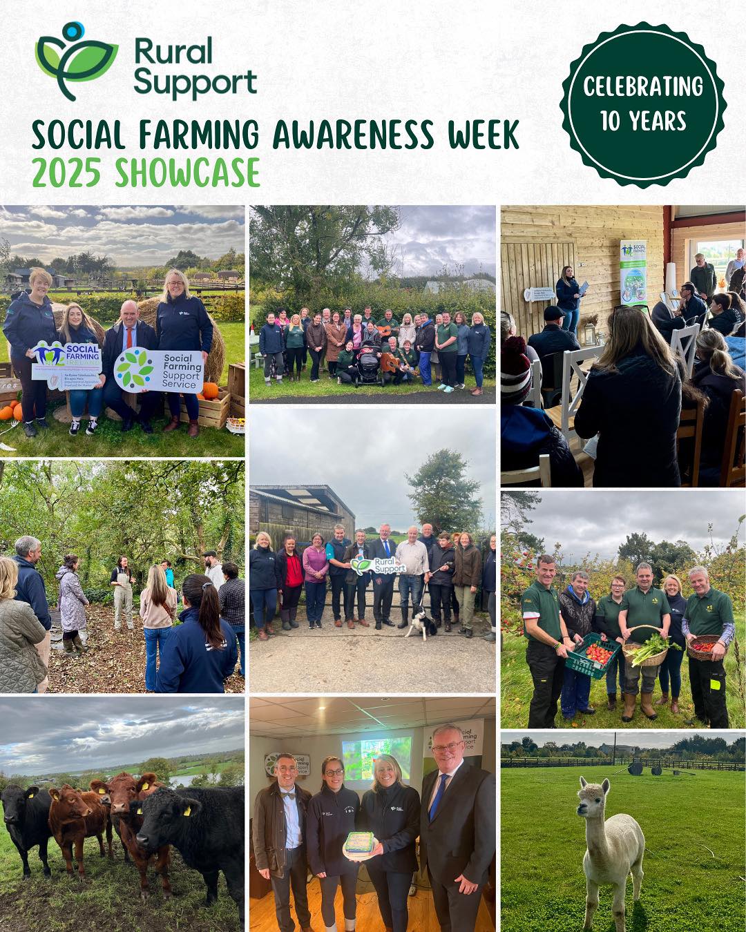 Rural Support | Cookstown