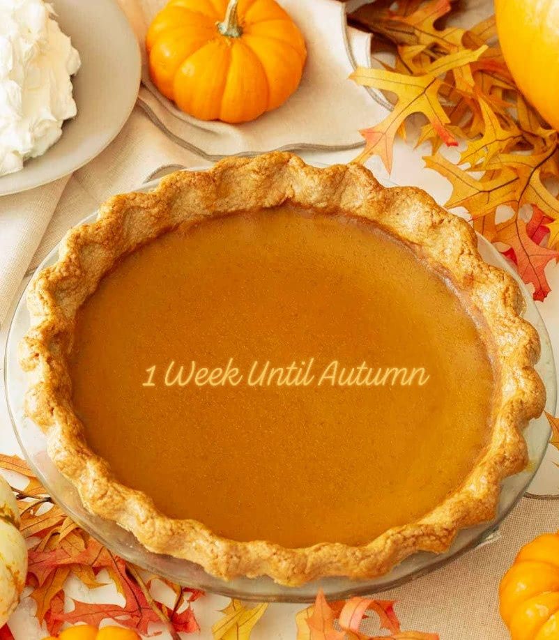 Forever - Happy Monday 🍂🧡🍂 1 Week (7 Days) Until Autumn 🧡🍂🤗🦋🍁~Laura 🍁🦋🤗 ...