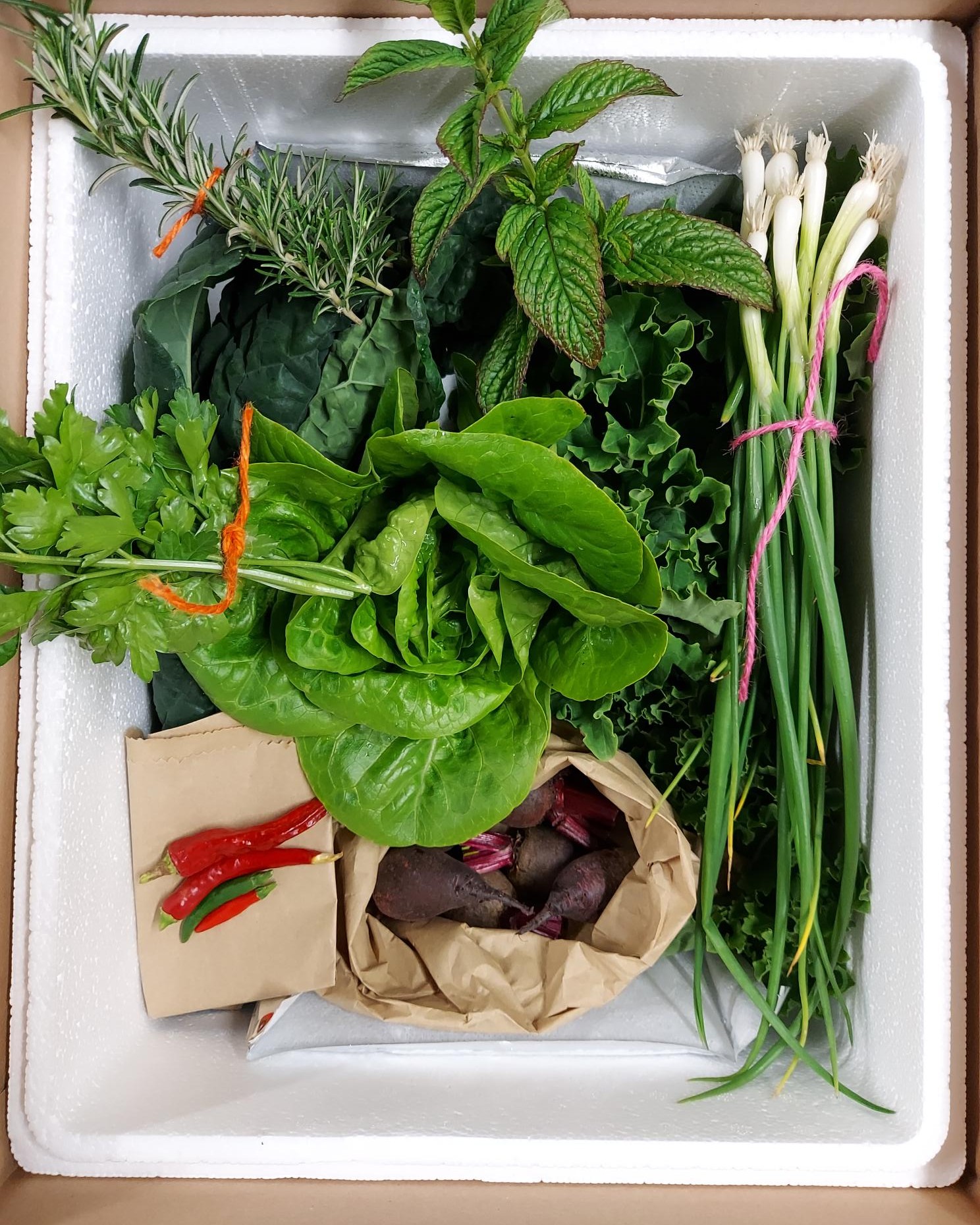 True Roots - It's delivery day!! We're excited to be...