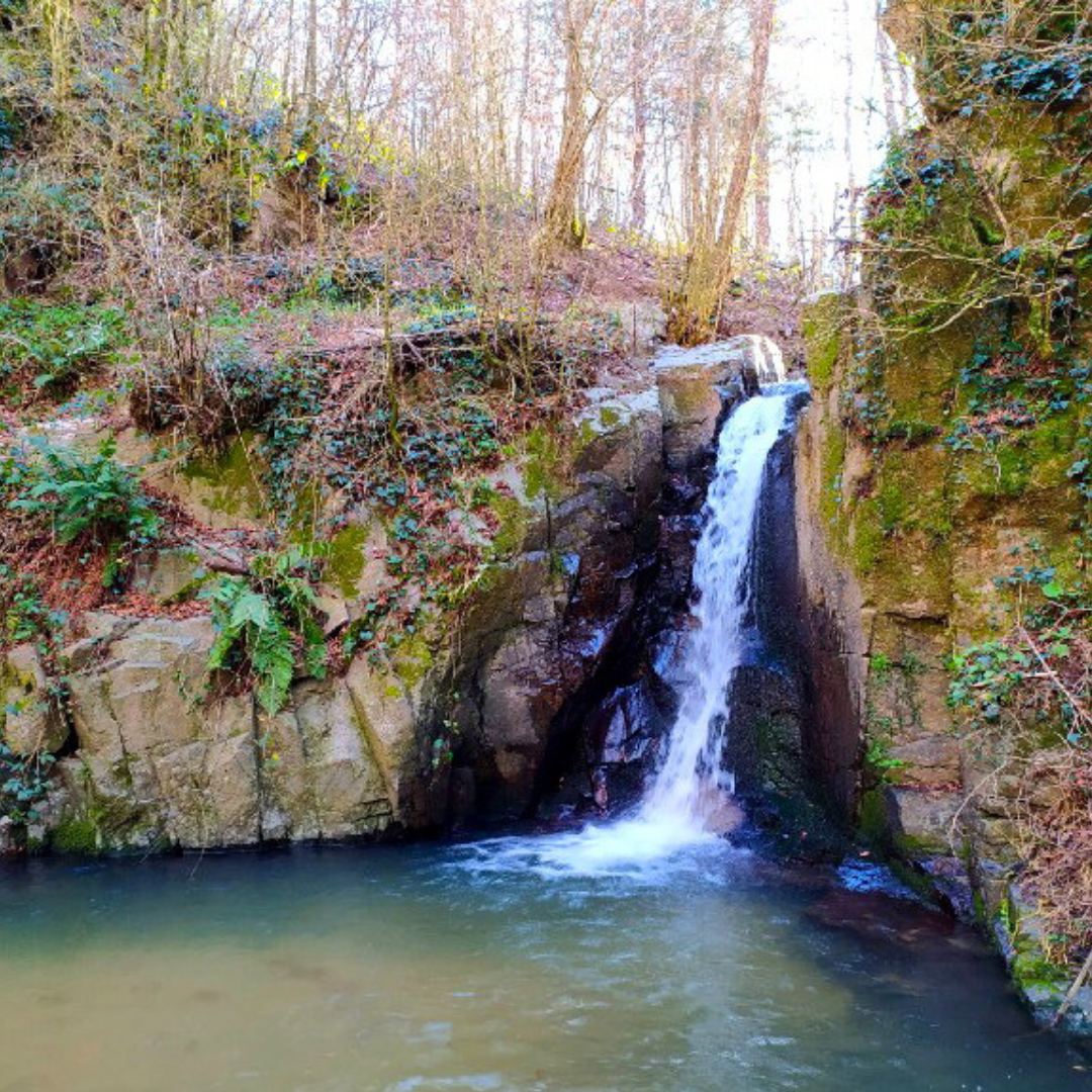 AquaDelta - 💦🚰💙 Pròximament Aigua Mineral Natural del Manatial de Sant ...