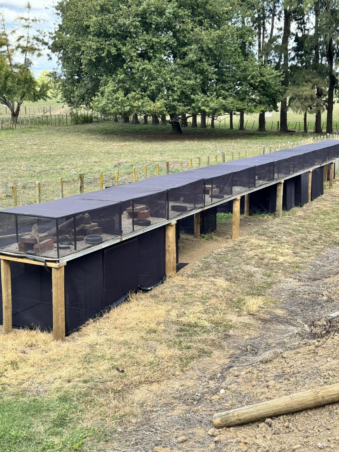 Some of the temporary pens nearly... - ReptileZ Pet Supplies | Facebook