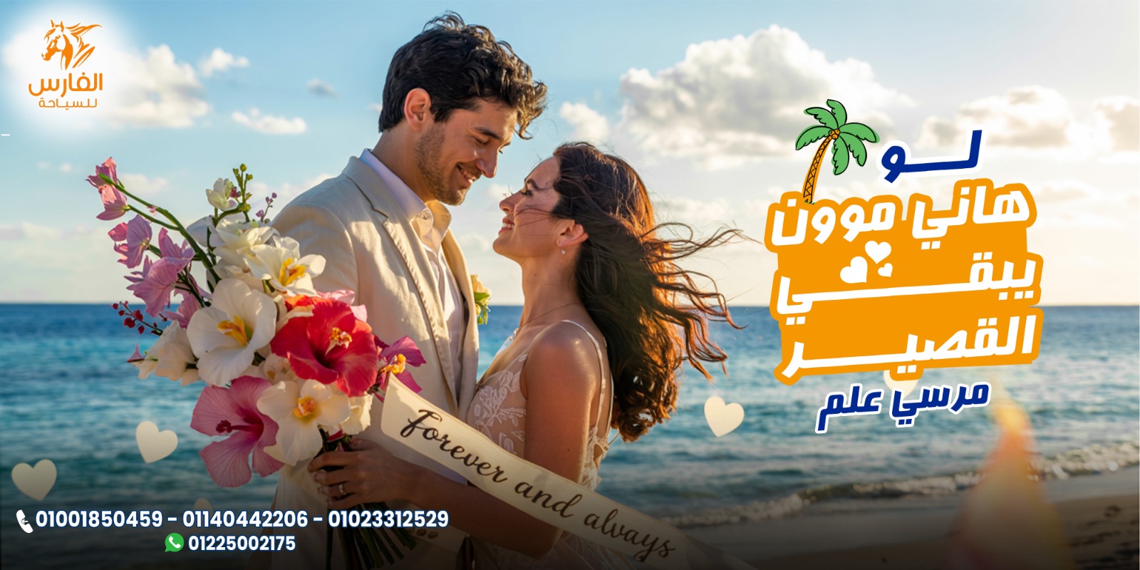 Sharm Touring Egypt added a new photo. - Sharm Touring Egypt