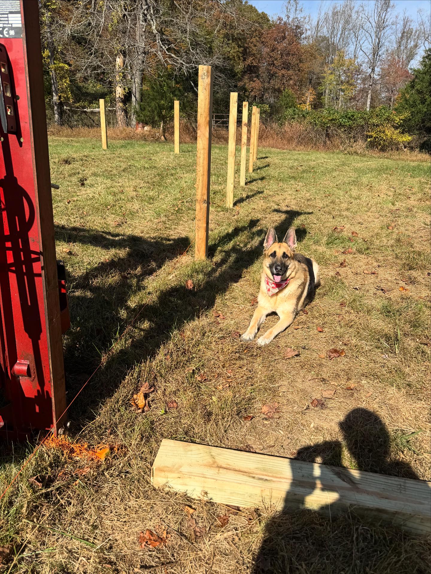 Cannon Ridge Farm | Afton VA