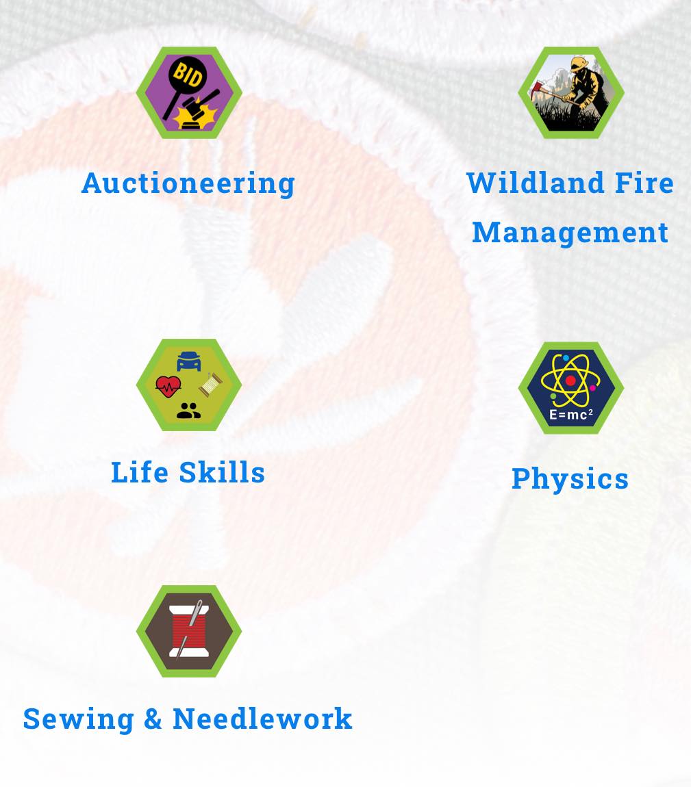Scouting - STEP INTO THE TEST LAB! 🥼 The Scouts BSA Test Lab is an ...