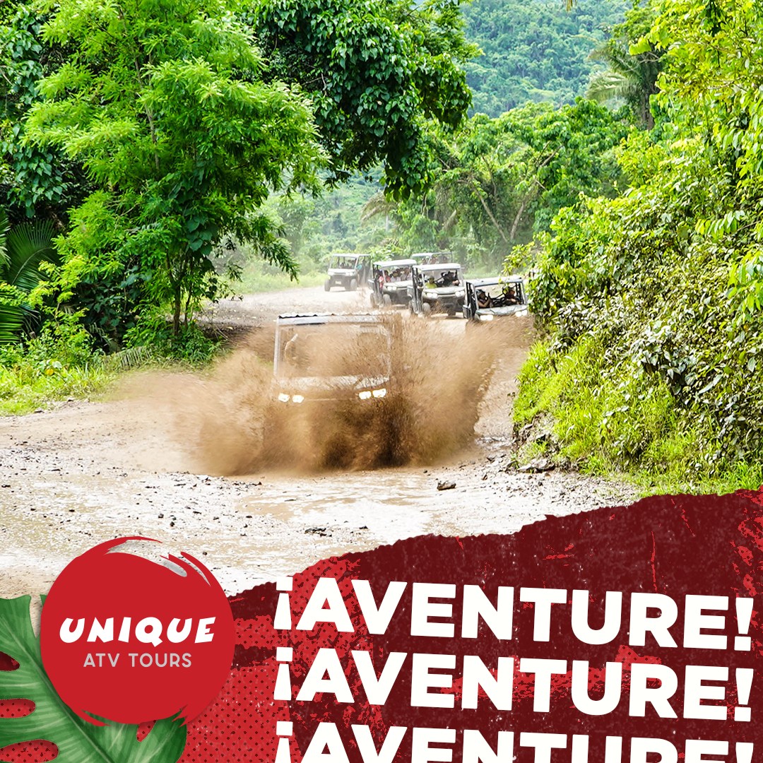 Unique - Adventure + Nature Discover hidden waterfalls, rustic trails ...