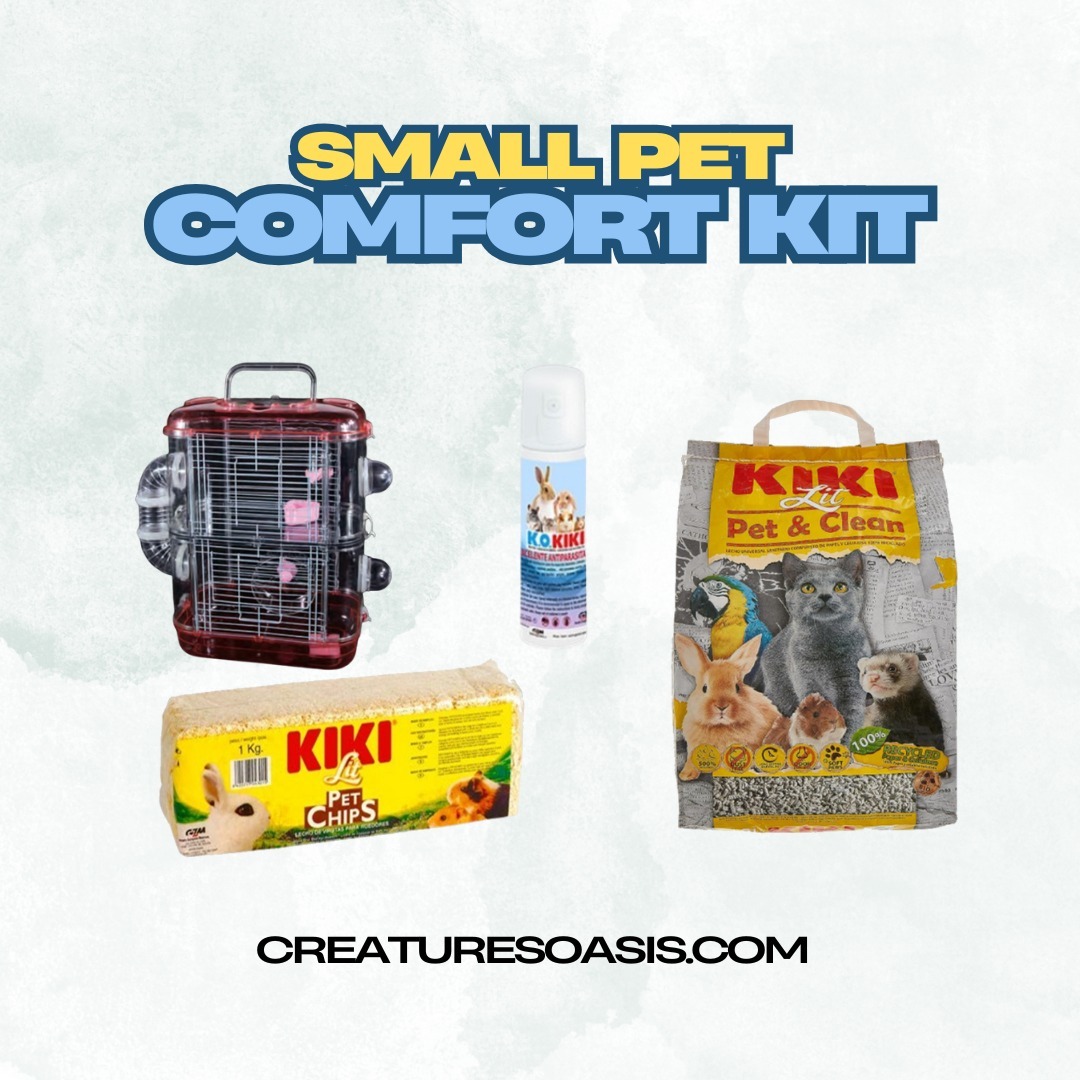 Creatures - 🐰🐹 Comfort That Fits in a Box! Treat your little furry ...