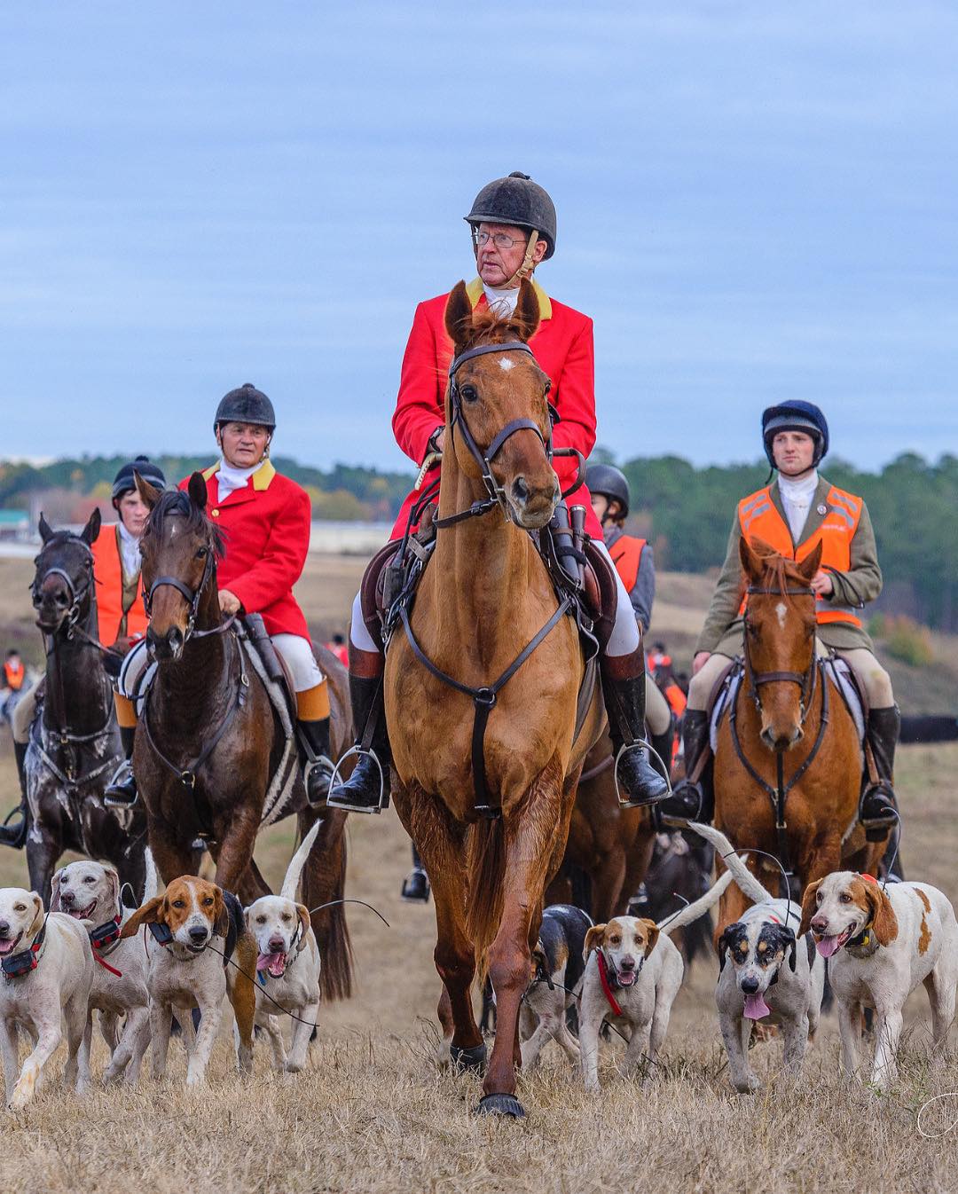 Visit - Experience one of Georgia’s most iconic traditions at the Belle ...