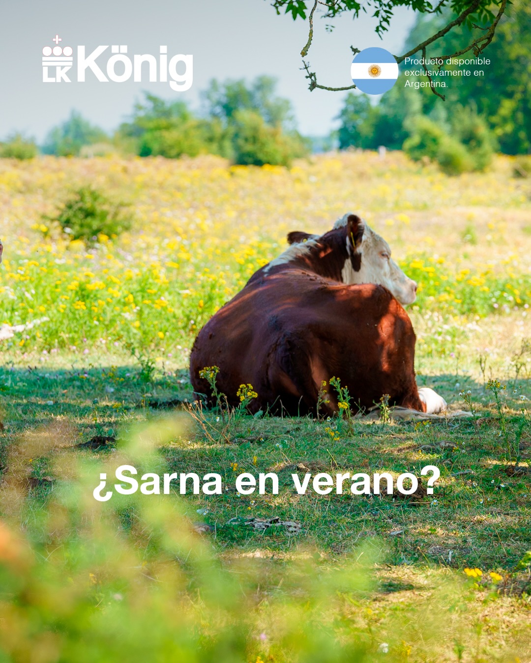 Laboratorios König - Ganadería