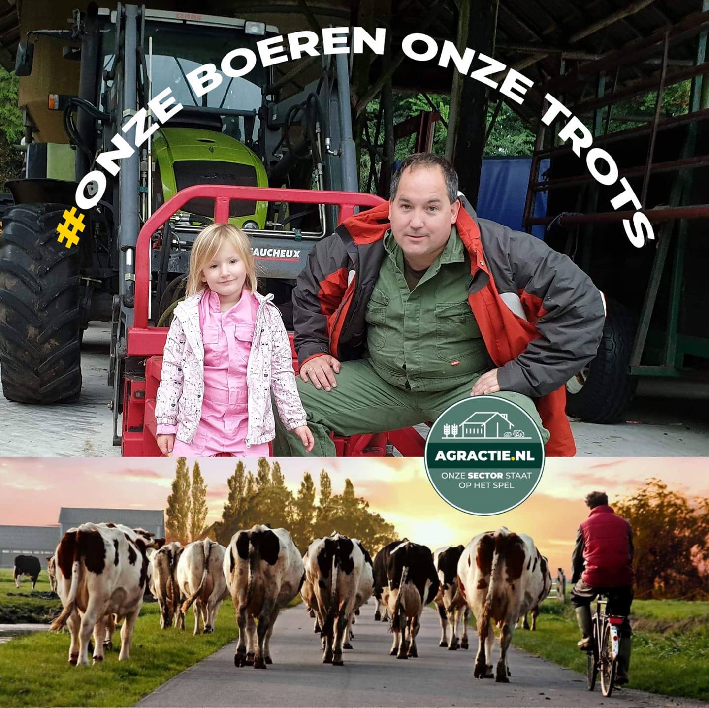 Sander Koop
