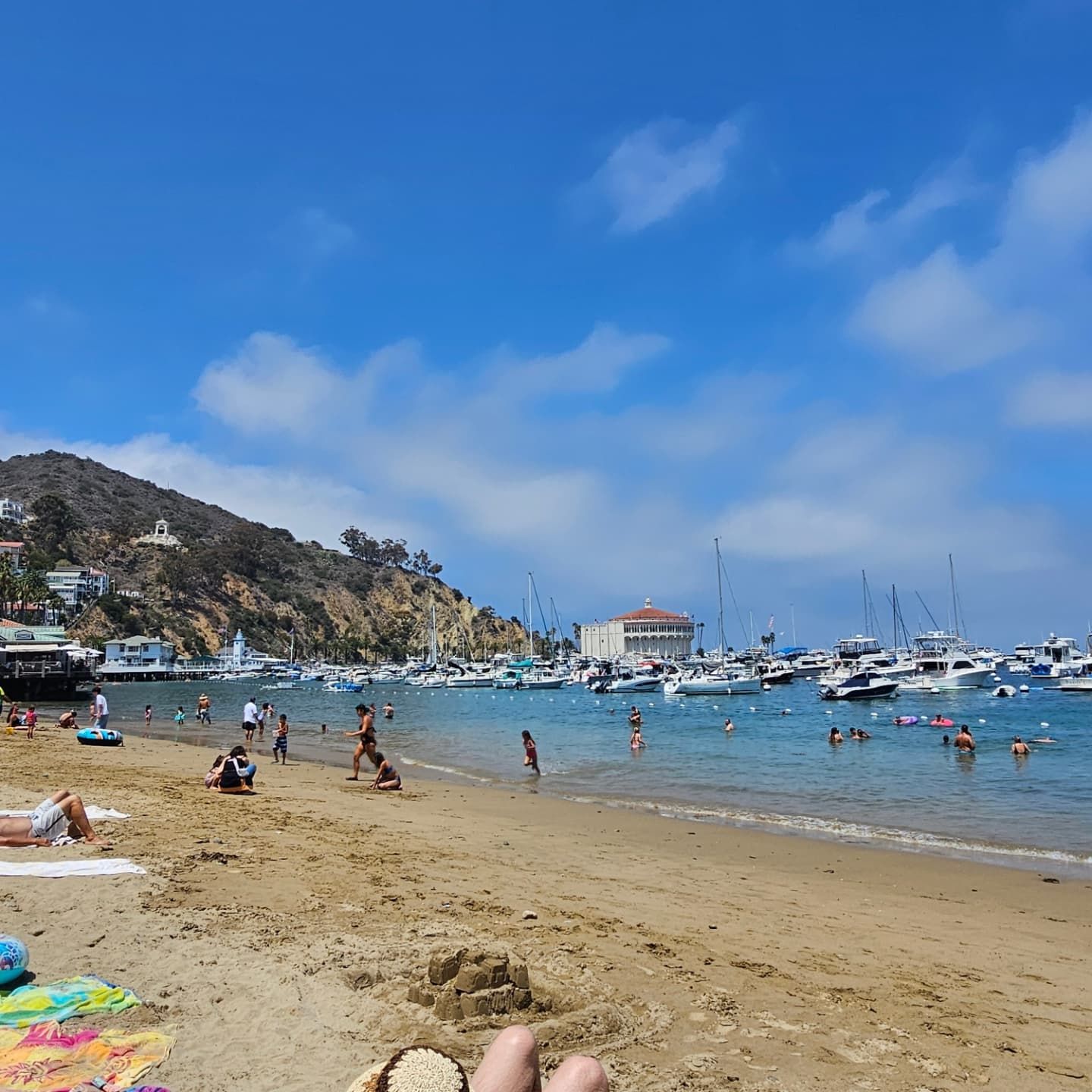 Catalina - Beach days aren’t over yet🌞 📷: Instagram.com/simpson826 ...