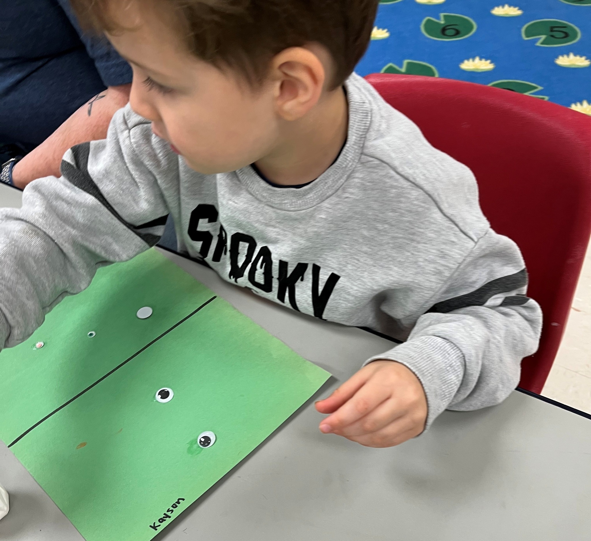 ~ Jackson County ~ Class 2P learned about sorting by sorting large and ...