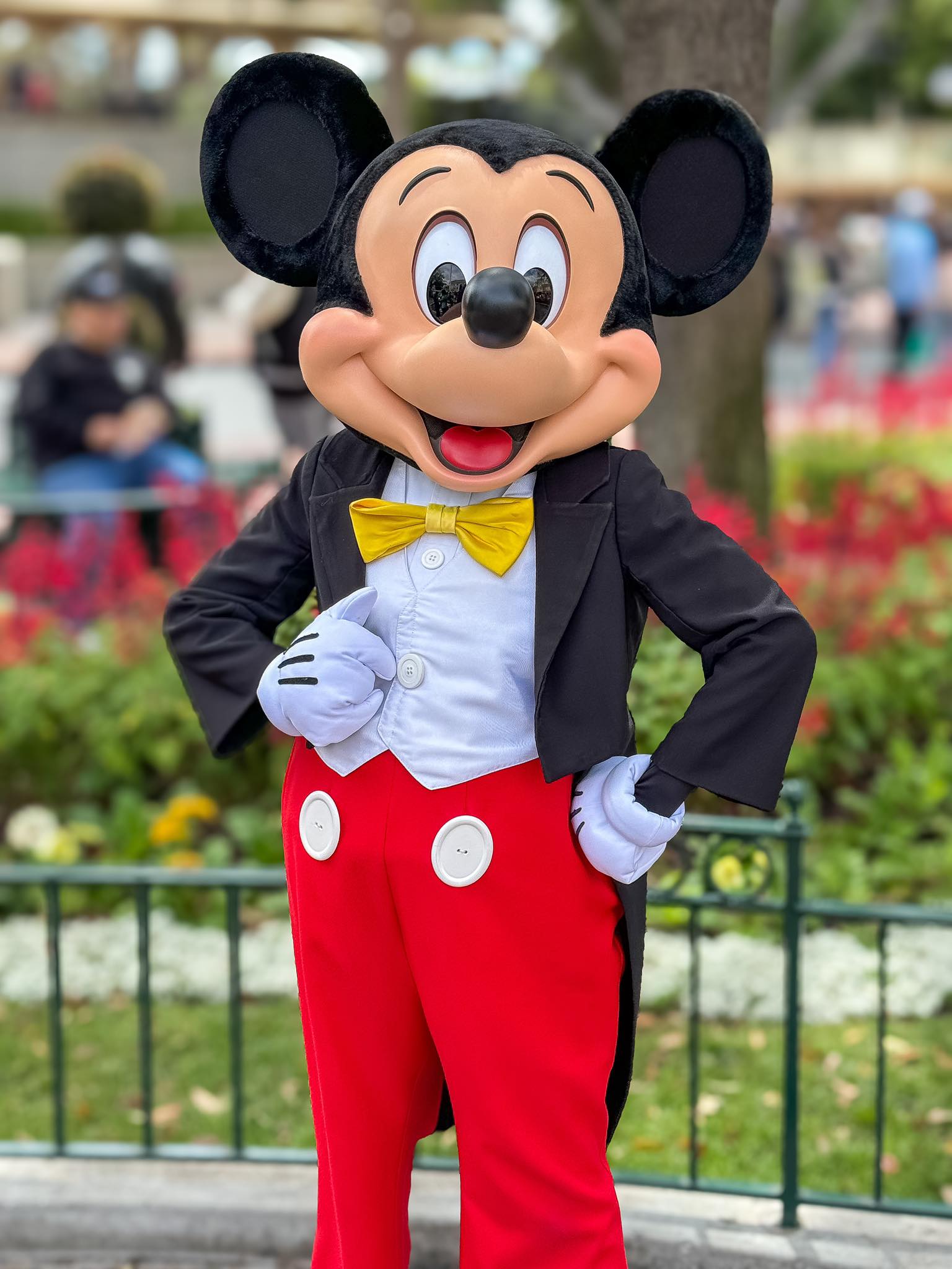 Disney World 20周年 ミッキー ストリートカー 1991 限定 Disney World