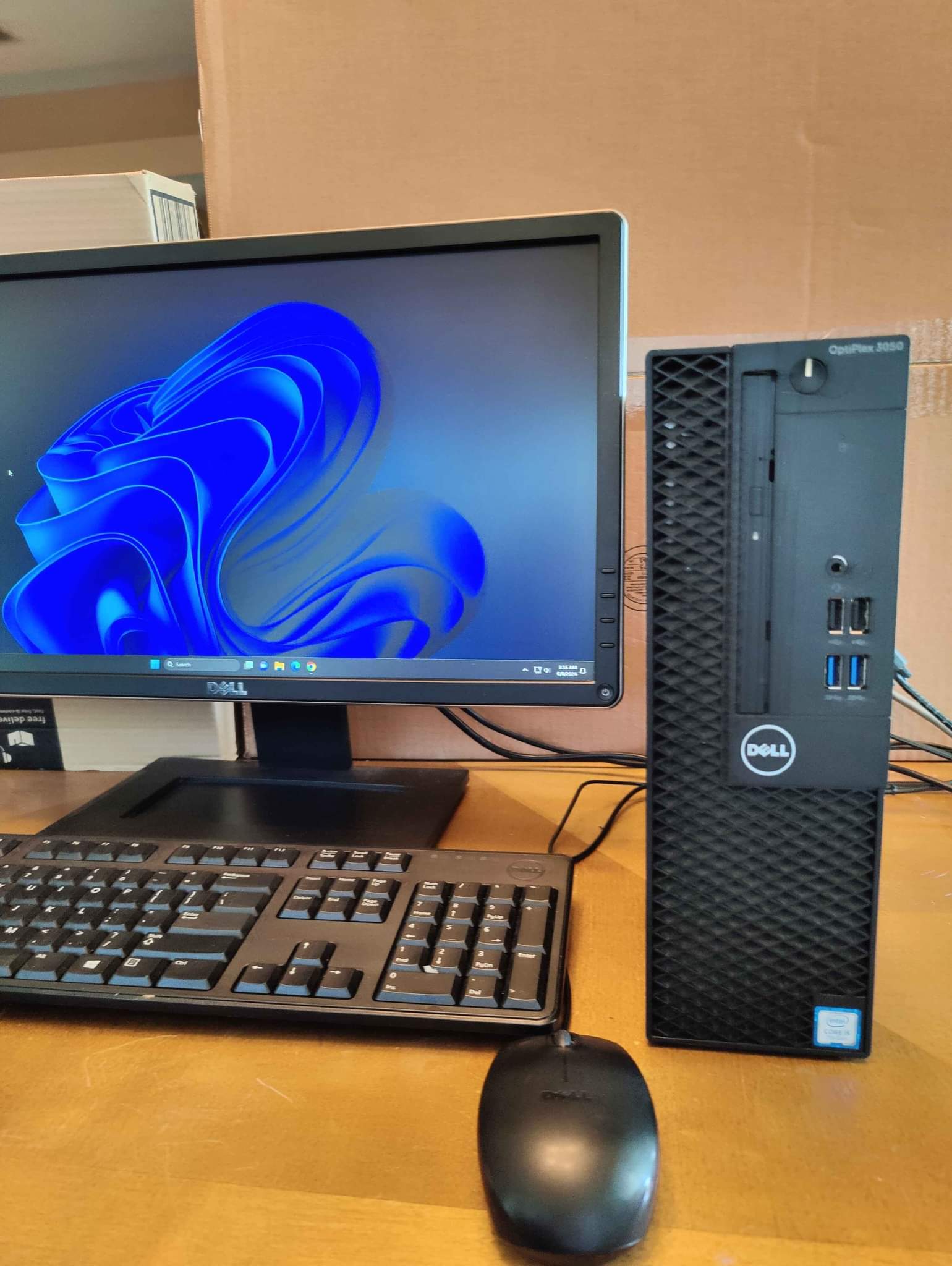 Dell OptiPlex 3000 SFF Small Form Factor Desktop Computer - 12th 