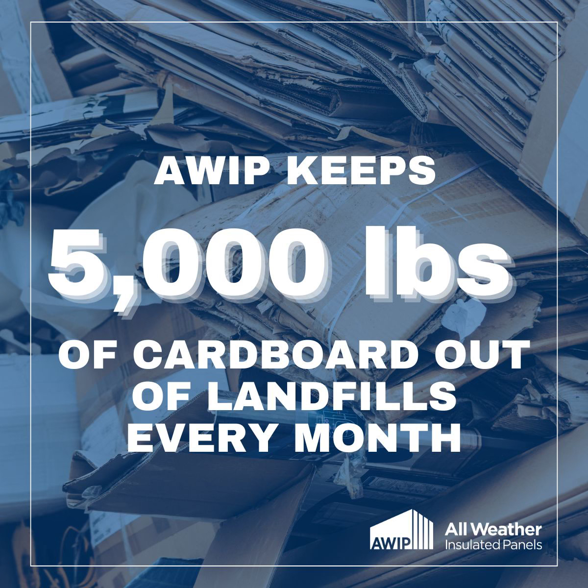Meet Debi Toyozato — AWIP’s... - All Weather Insulated Panels | Facebook