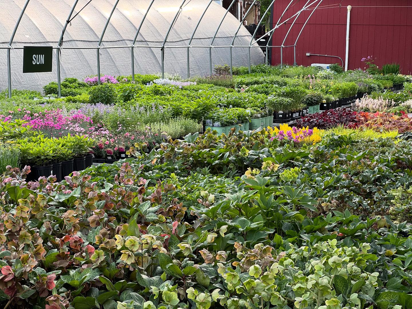 Hewitt Garden and Design Center | Franklin TN