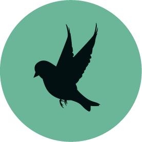You can scroll,... - Sparrow Early Learning Malvern Springs | Facebook