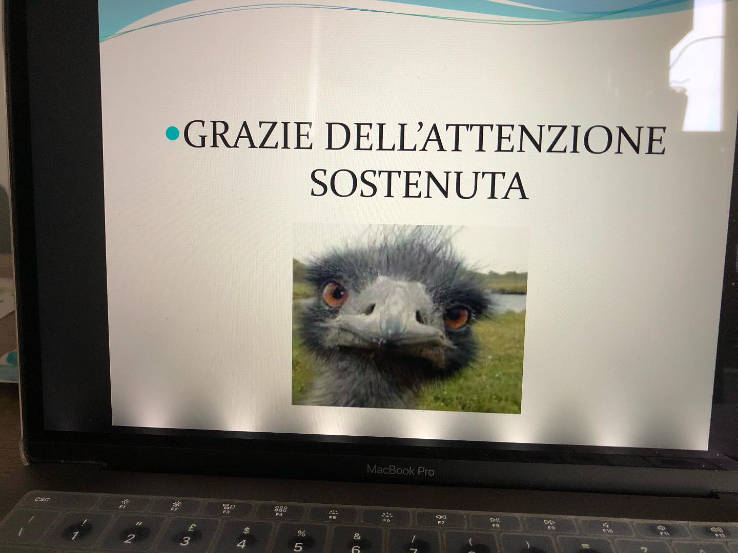 Giulia - 🤭🤭 Altro giro, altro corso ECM 📚👩🏼‍🎓💻 @laborform.formazione # ...