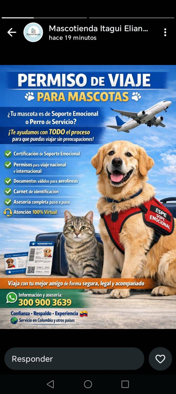 Viajes con mascotas | ¡Hola! Recién empiezo en el grupo | Facebook
