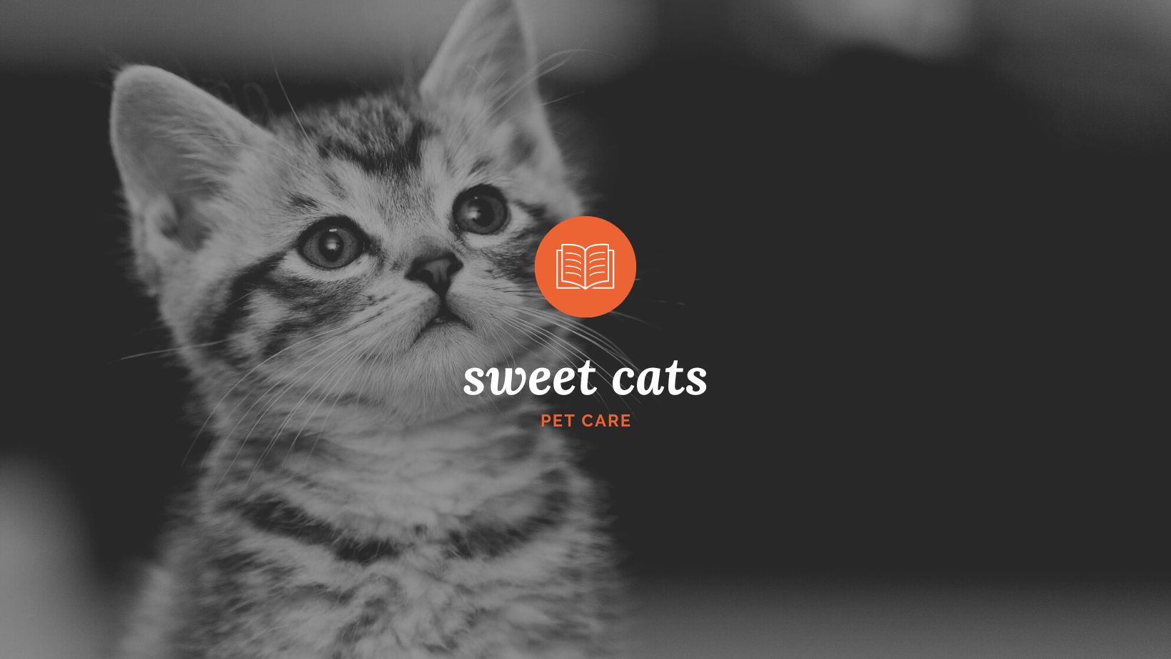 SWEET CAT (@SWEETCAT1239) • Facebook
