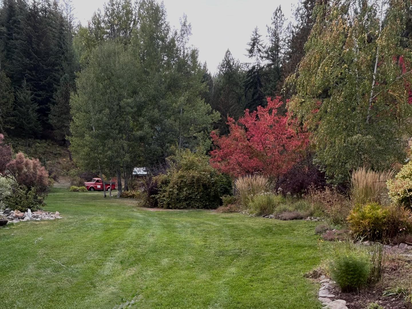 French Gulch Farm and... - French Gulch Farm and Garden