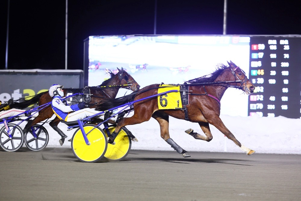 Foxboro Raceway Memorabilia-Standardbred Harness Racing | Facebook