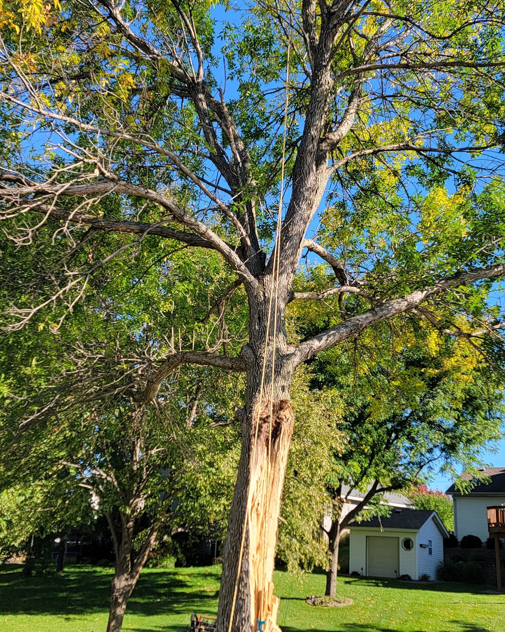 Sergios Outdoor Service | South Saint Paul MN