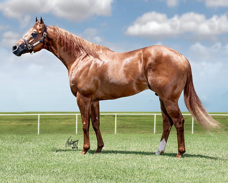 Twisted M Ranch | Paoli OK