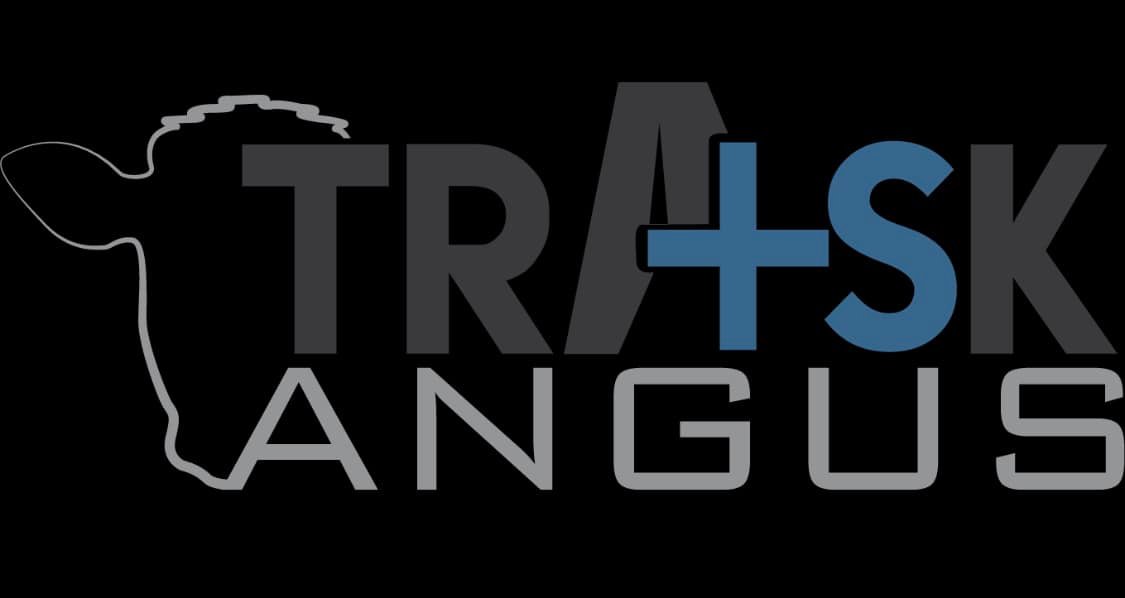 Trask Angus | Wasta SD