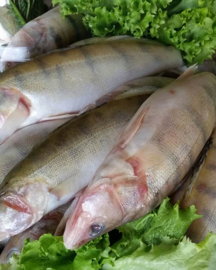 Ribarnica - Smuđ je rečna riba bogata vitaminima A i B, kalcijumom ...