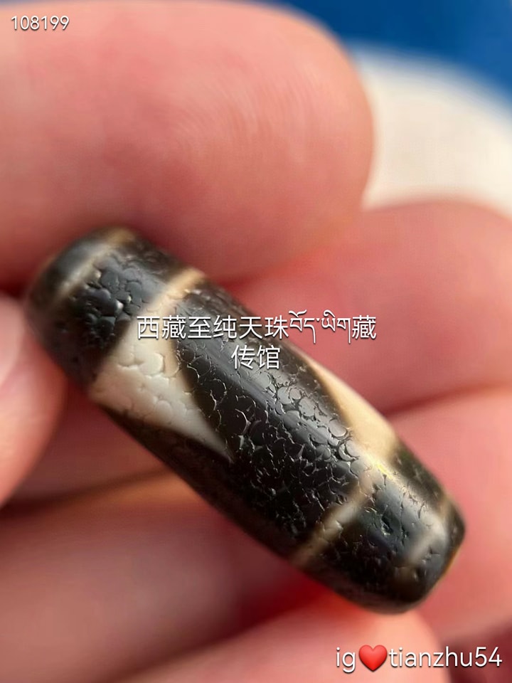 古法西藏天珠虎牙天珠马蹄纹风化，带药坑，纹理够粗，一颗虎牙天珠尺寸