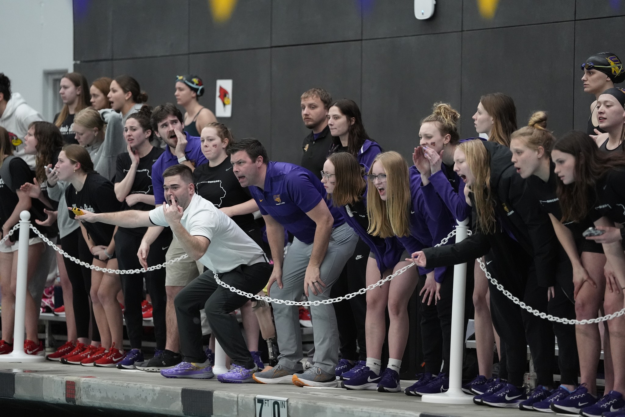 UNI Swimming and Diving