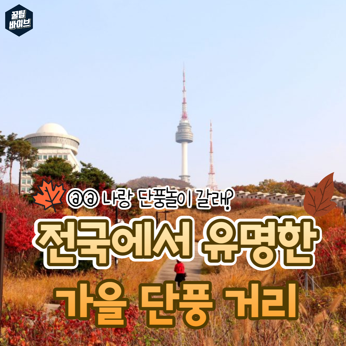 꿀팁바이브 - 전국에서 유명한 가을 데이트명소! @나랑 단풍놀이갈래?>.