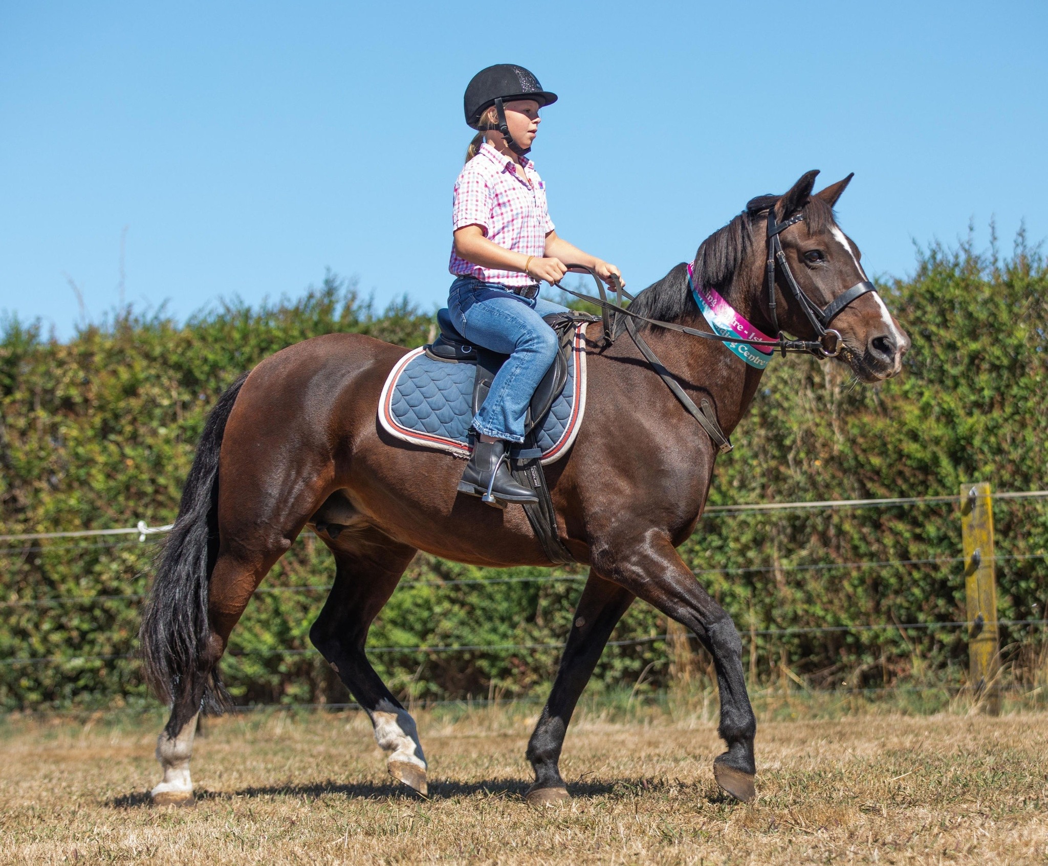 Overdale Riding Centre | Cambridge