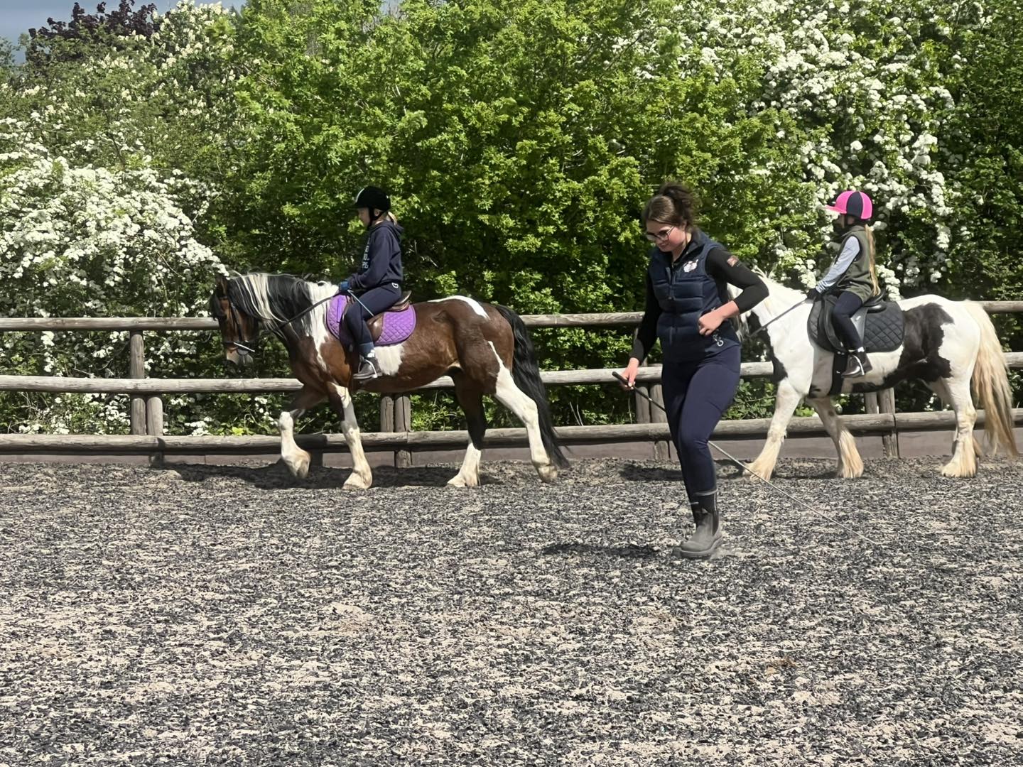 KC Riding... - KC Riding School. Supporting Kc horse rescue
