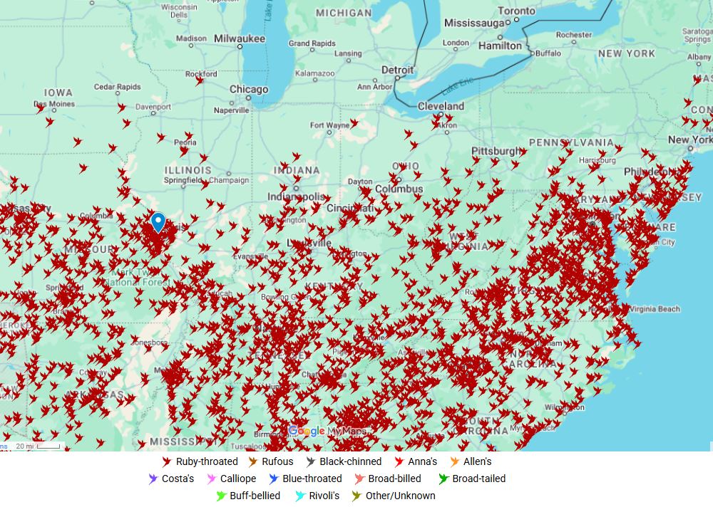 Meteorologist - THEY'RE HERE! Ruby-Throated Hummingbirds have now been ...