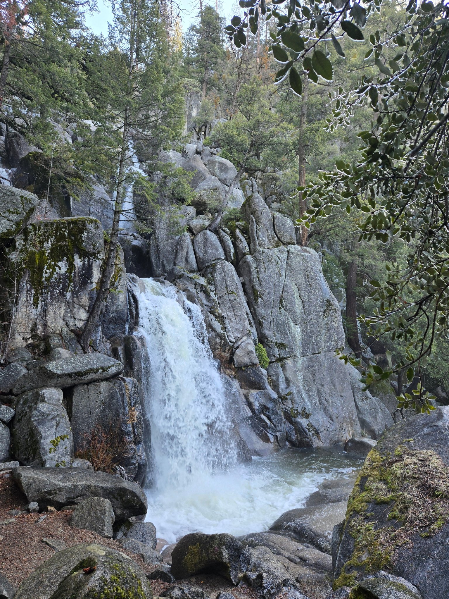 Yosemite Mini Cabin | Wawona CA