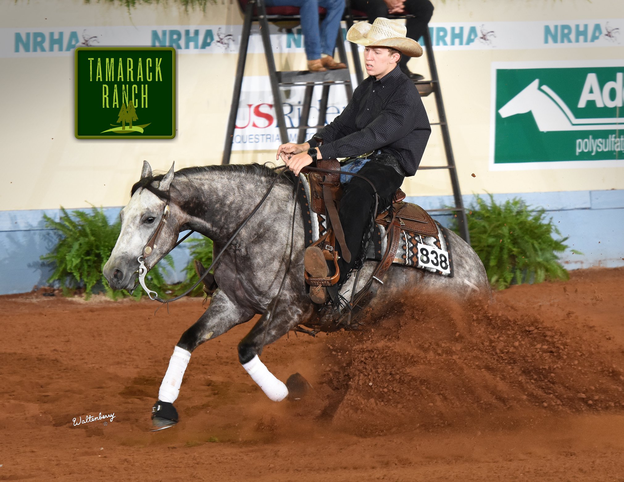 Congratulations to the #1 money... - Tamarack Ranch Reiners | Facebook