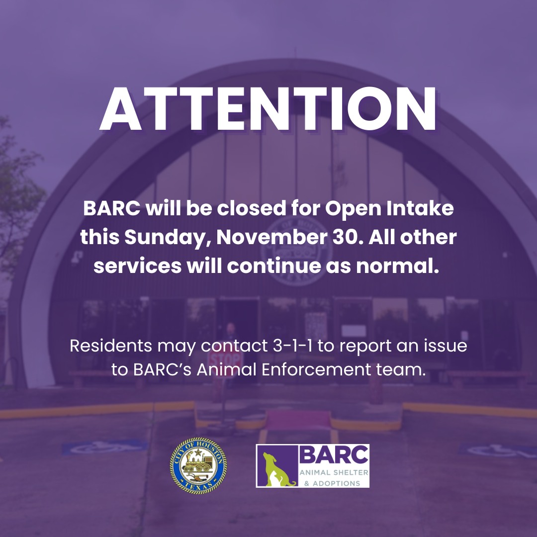 BARC Animal Shelter & Adoptions | Houston TX