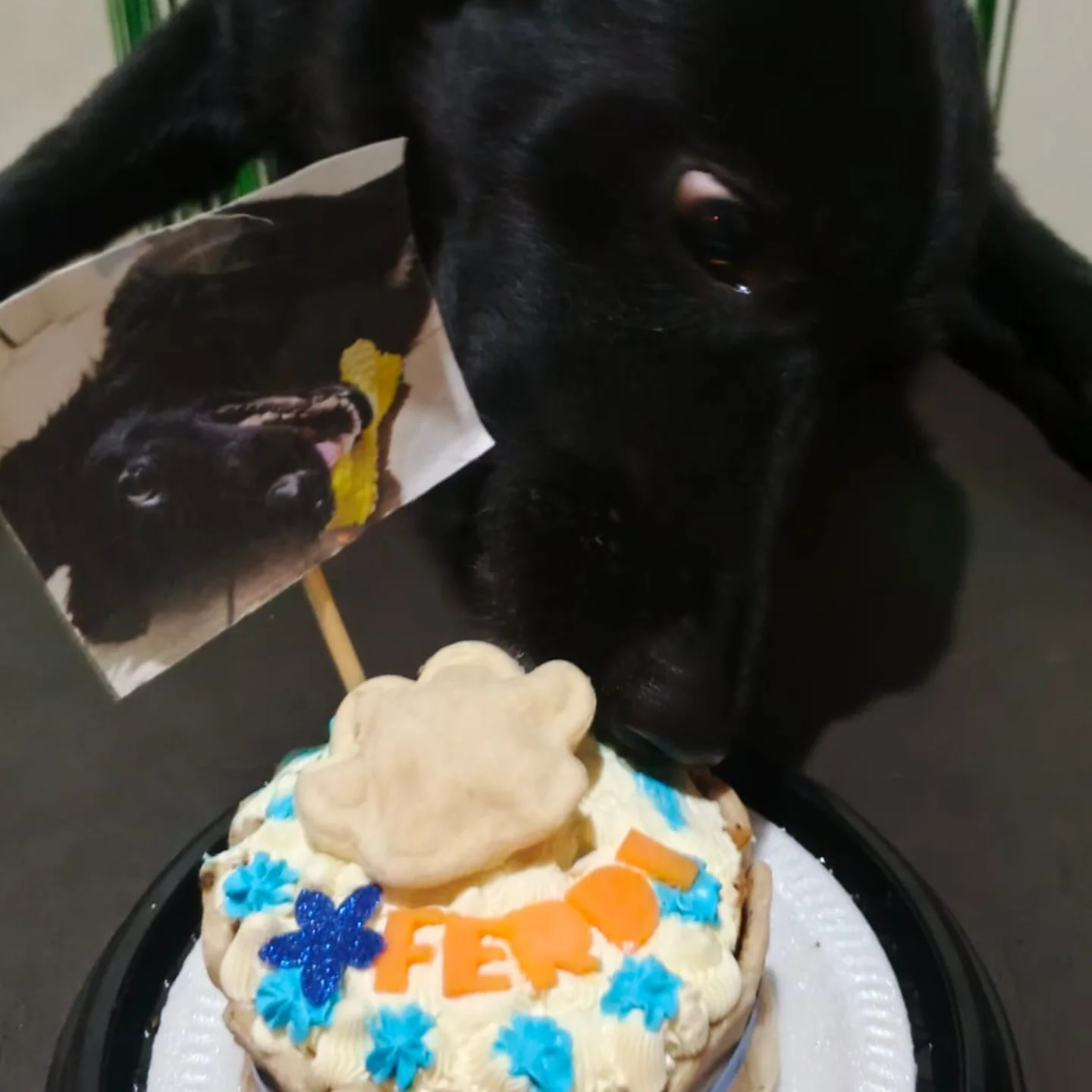 Panadería - Ferdi celebrando su cumpleaños en familia con una Mini ...