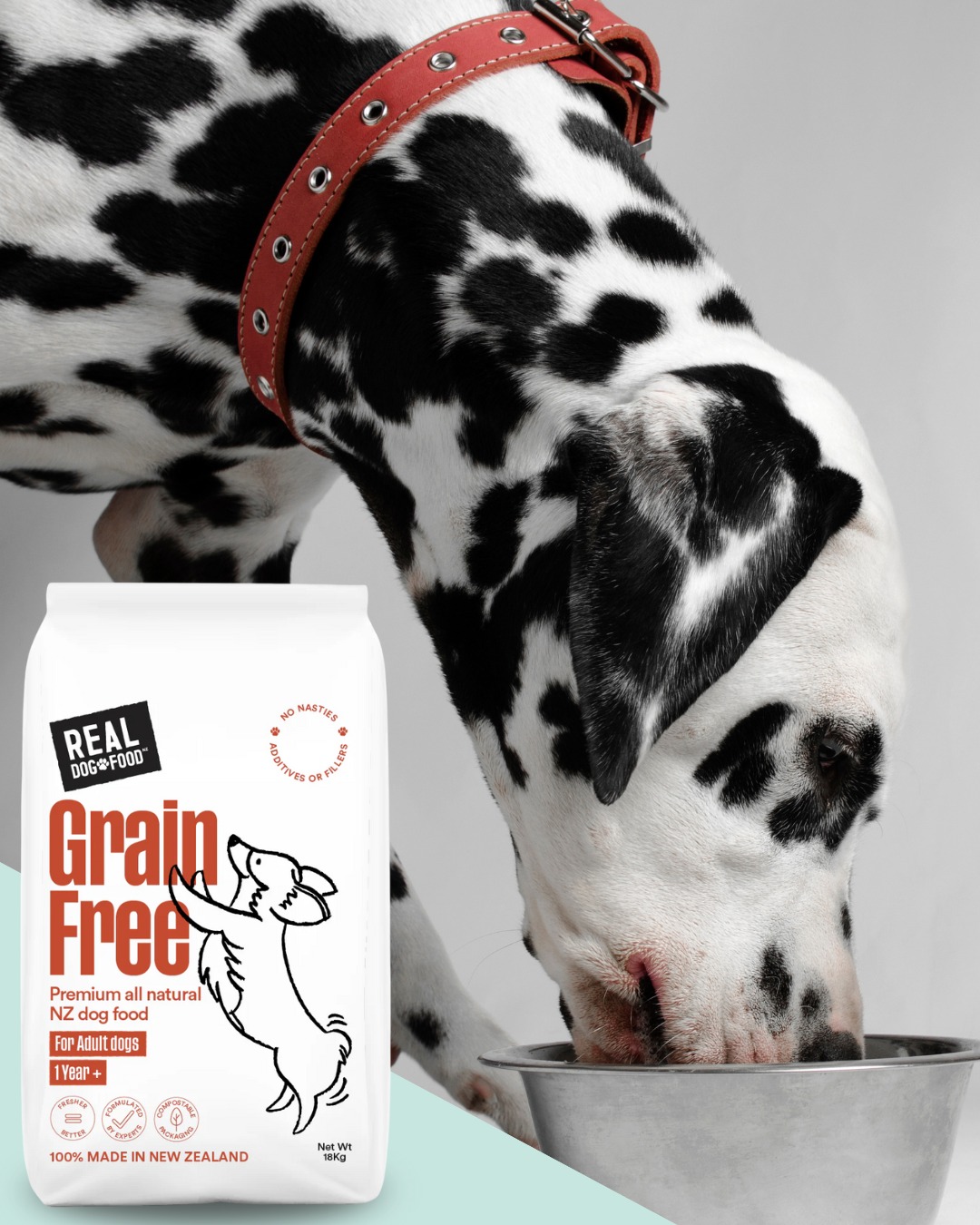 Stunning Preservative Free Dog Food With Omega 3 image