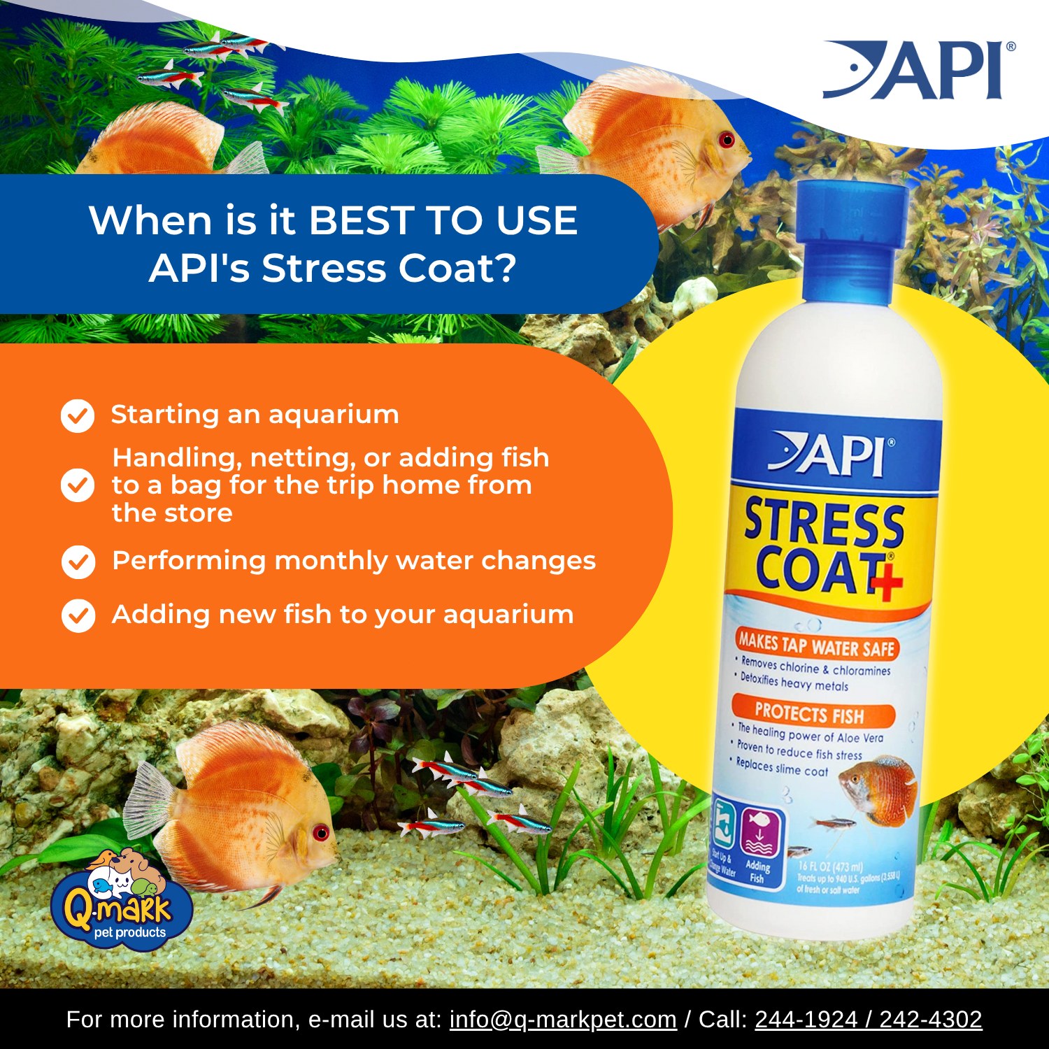 API Philippines - API Philippines added a new photo.