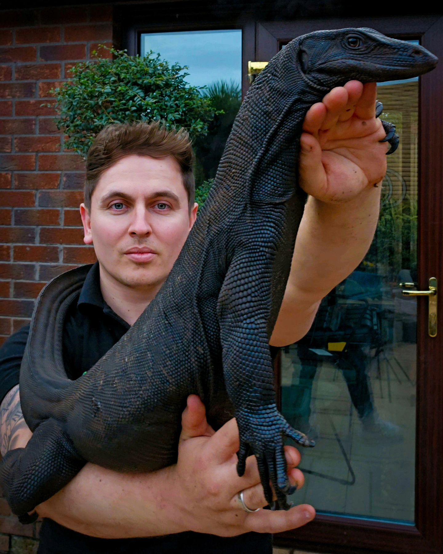 Jurassic Ark Encounters NI shows off... - The Reptile Report | Facebook