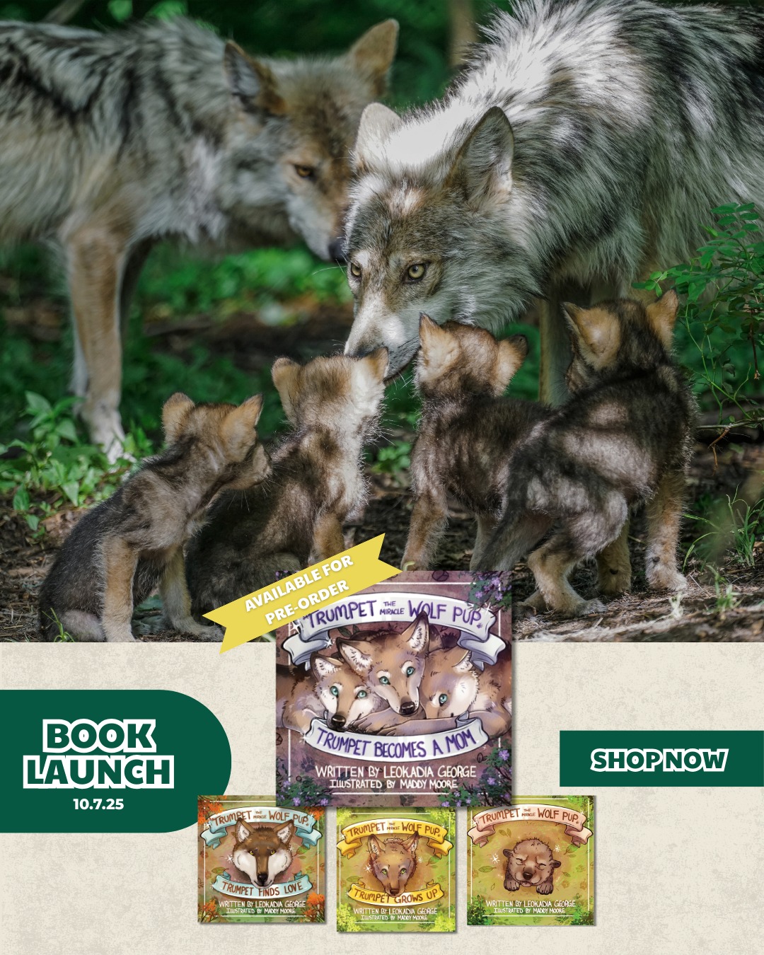 📚🐾 Back-to-School with Trumpet!... - Wolf Conservation Center | Facebook