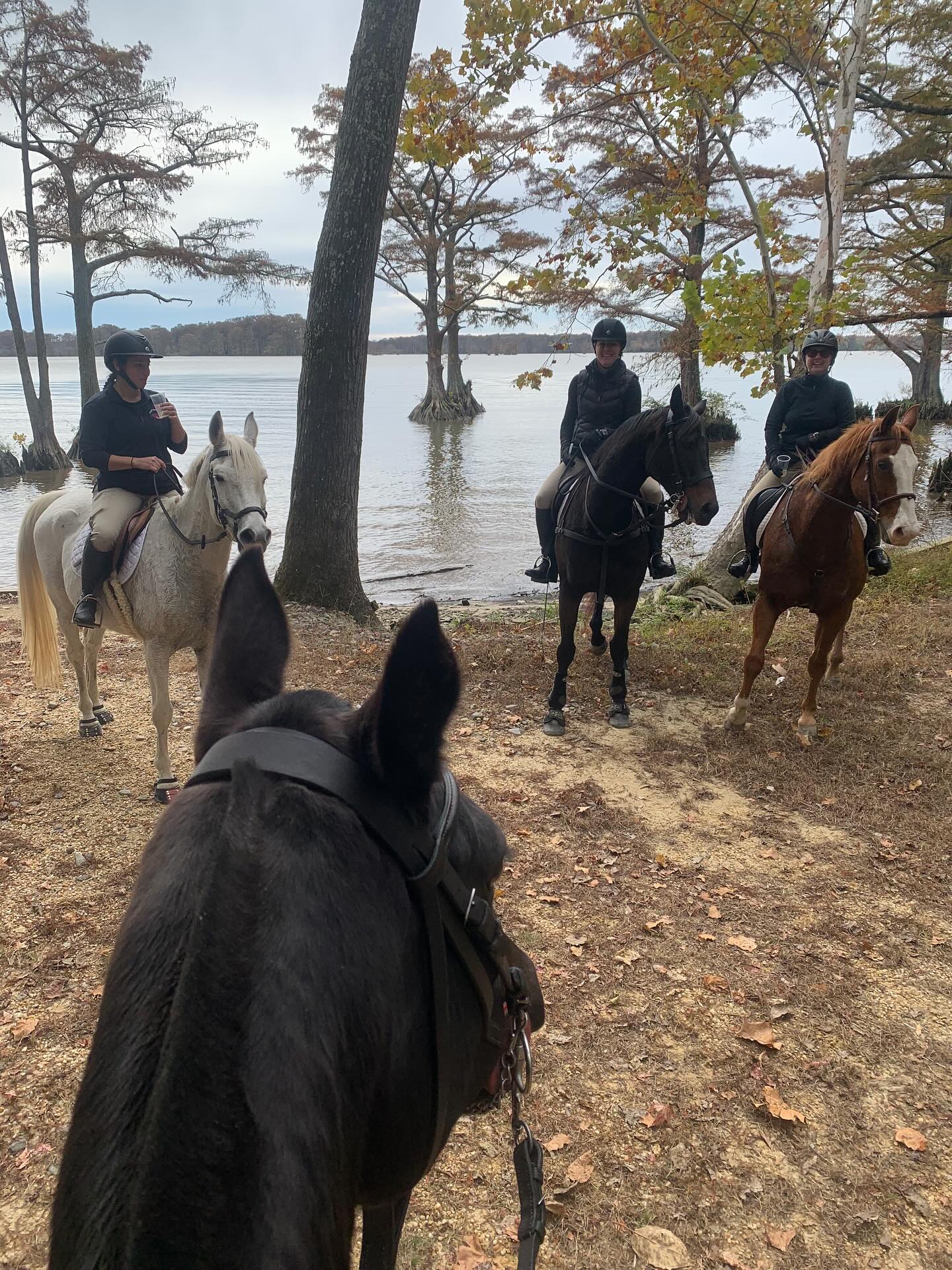 Cannon Ridge Farm | Afton VA