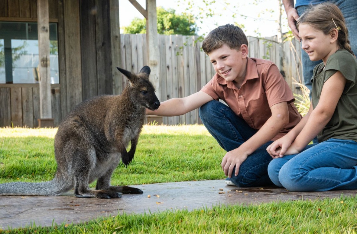Creation - Be sure to hop on by the Wallaby Walkabout during your visit ...