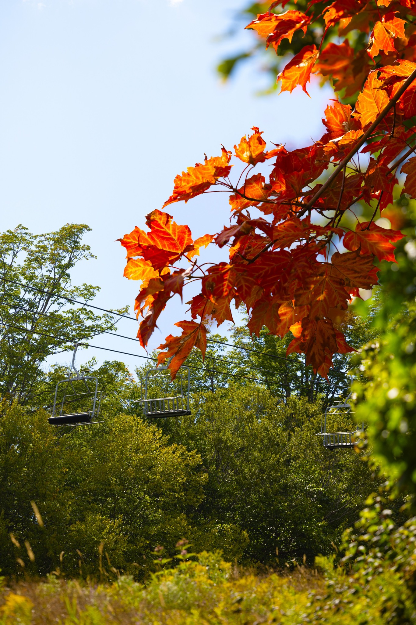 Killington - The first fall colors are here🍁 Seasons are changing at ...